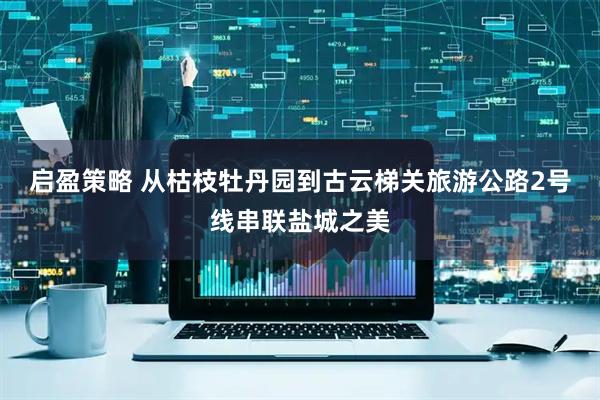 启盈策略 从枯枝牡丹园到古云梯关旅游公路2号线串联盐城之美