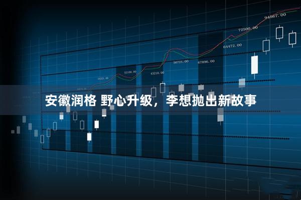 安徽润格 野心升级，李想抛出新故事