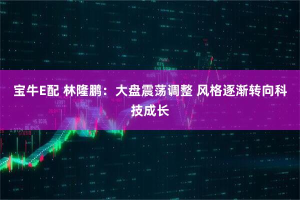 宝牛E配 林隆鹏：大盘震荡调整 风格逐渐转向科技成长