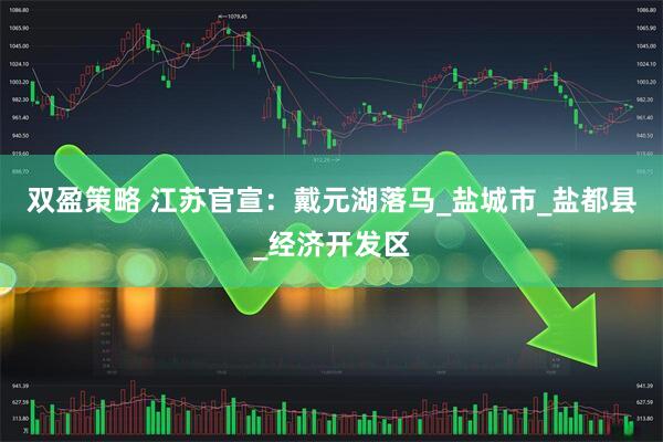 双盈策略 江苏官宣：戴元湖落马_盐城市_盐都县_经济开发区