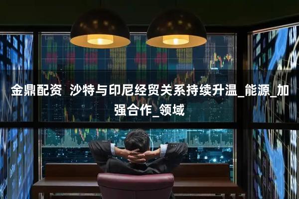 金鼎配资  沙特与印尼经贸关系持续升温_能源_加强合作_领域
