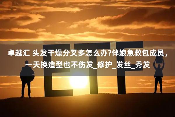 卓越汇 头发干燥分叉多怎么办?伴娘急救包成员，一天换造型也不伤发_修护_发丝_秀发