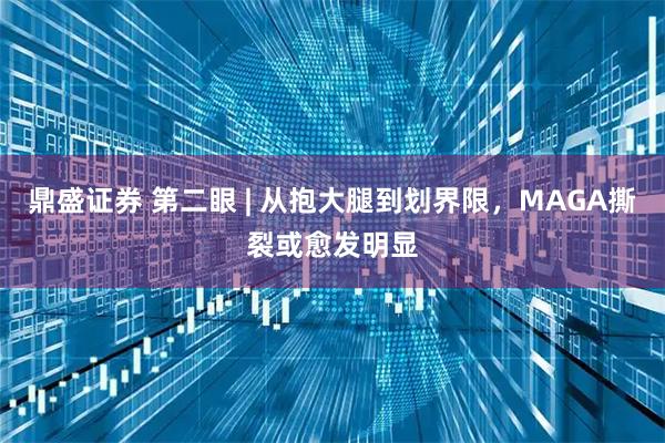 鼎盛证券 第二眼 | 从抱大腿到划界限，MAGA撕裂或愈发明显