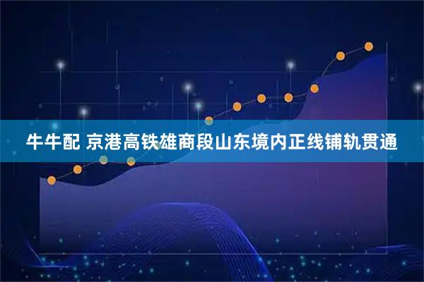 牛牛配 京港高铁雄商段山东境内正线铺轨贯通