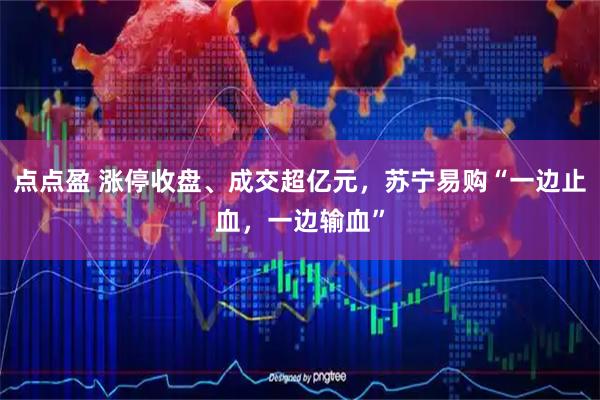 点点盈 涨停收盘、成交超亿元，苏宁易购“一边止血，一边输血”